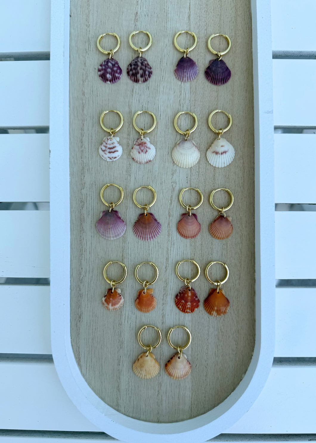 Seashell Earrings